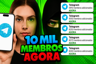 Banner Topo